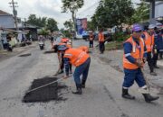 Kerahkan 10 Tim URC, Bupati Jember Fawait Perintahkan Perbaiki Jalan Berlubang