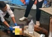 Kopi Dini Hari Berujung Maut, Pria Asal Karangploso Dihantam Palu di Warung Dekat Balai Kota Batu