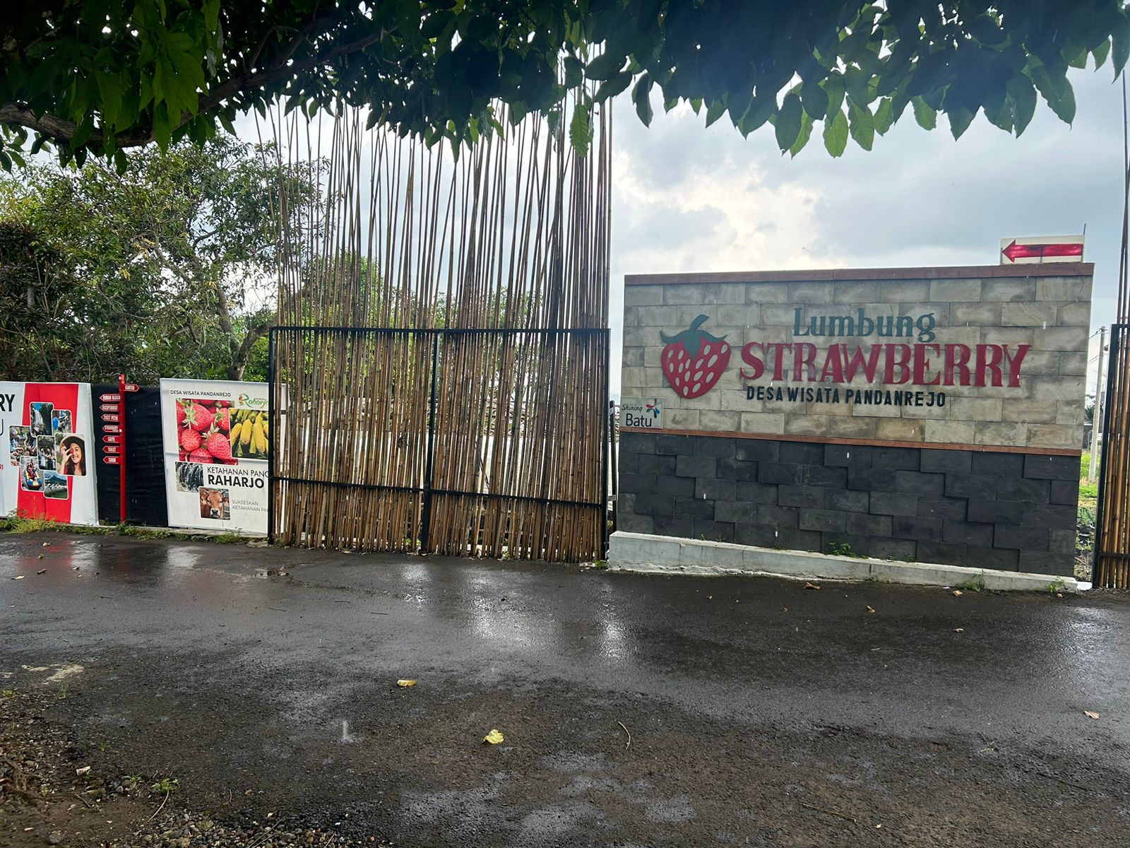 Lumbung Stroberi Pandanrejo, Primadona Wisata Kota Batu Sajikan Petik Buah dan Edukasi Pertanian