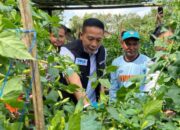 Cabai Masih Pedas di Atas Rp100 Ribu, Pemkot Malang Siapkan Intervensi