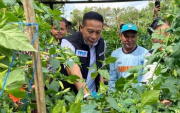 Cabai Masih Pedas di Atas Rp100 Ribu, Pemkot Malang Siapkan Intervensi