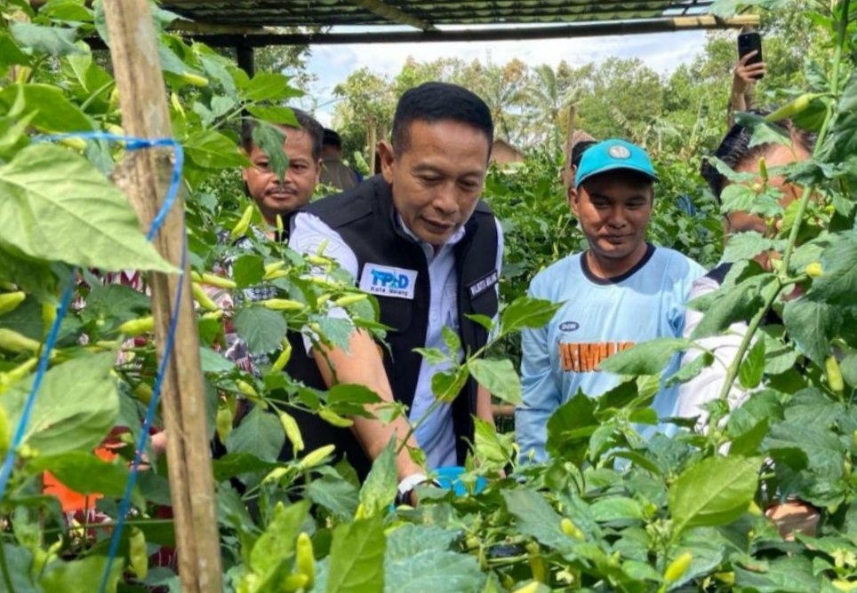 Cabai Masih Pedas di Atas Rp100 Ribu, Pemkot Malang Siapkan Intervensi