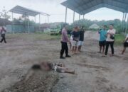 Penemuan mayat pria di Kabupaten Jombang menggegerkan warga Dusun Kupang, Desa Tebel, Kecamatan Bareng, Kamis (19/3/2026) pagi.