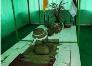 Mengalap Berkah di Balik Makam: Watu Junjung Jadi Magnet Spiritual