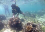 Hari Bumi 2026, Sahabat Alam Indonesia Tekankan Aksi Nyata Perkuat Ketahanan Pangan hingga Energi