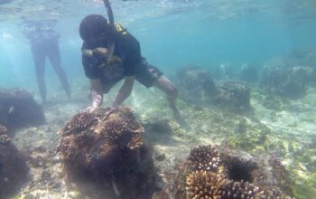 Hari Bumi 2026, Sahabat Alam Indonesia Tekankan Aksi Nyata Perkuat Ketahanan Pangan hingga Energi