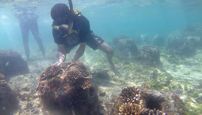 Hari Bumi 2026, Sahabat Alam Indonesia Tekankan Aksi Nyata Perkuat Ketahanan Pangan hingga Energi