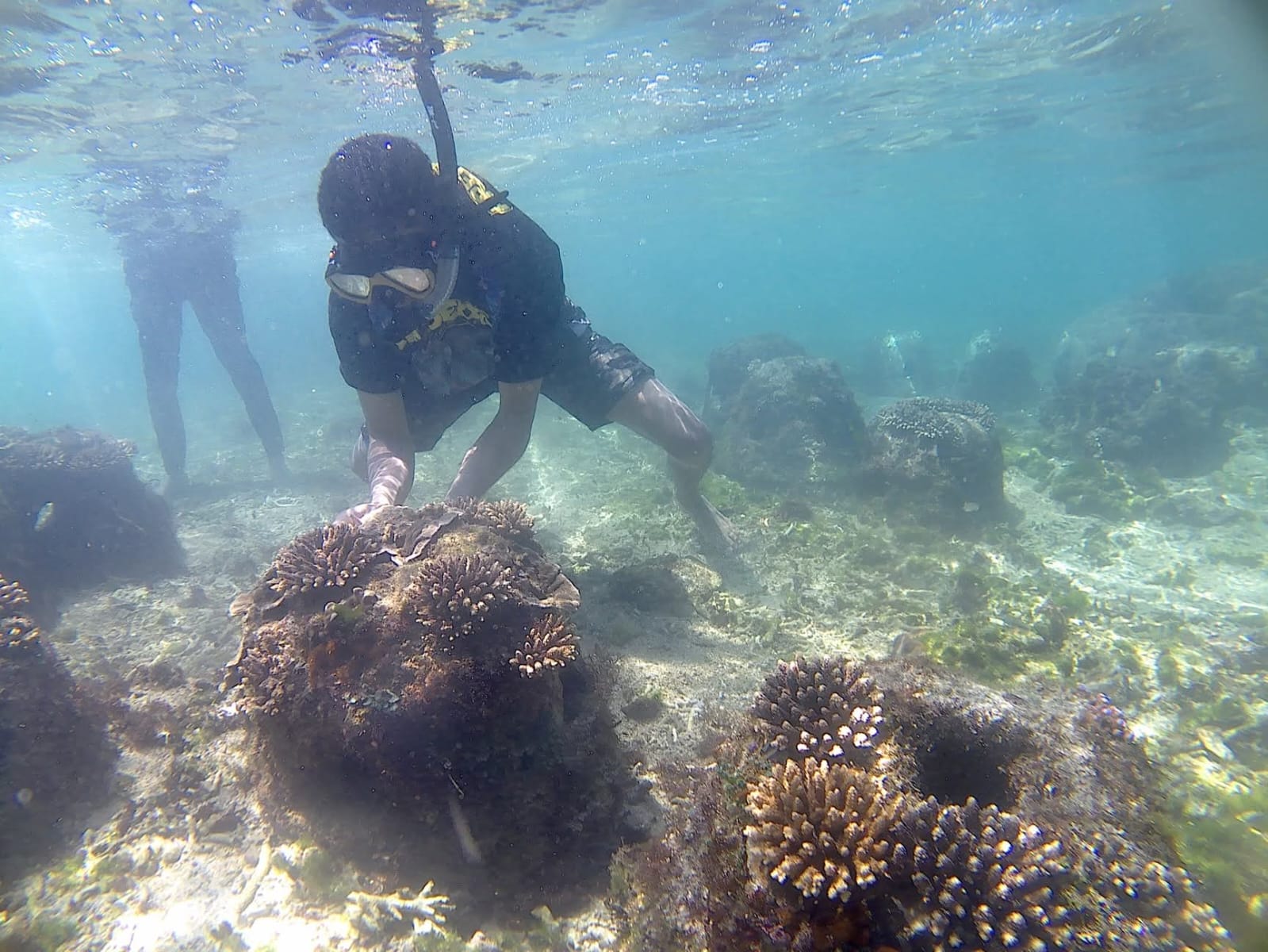 Hari Bumi 2026, Sahabat Alam Indonesia Tekankan Aksi Nyata Perkuat Ketahanan Pangan hingga Energi