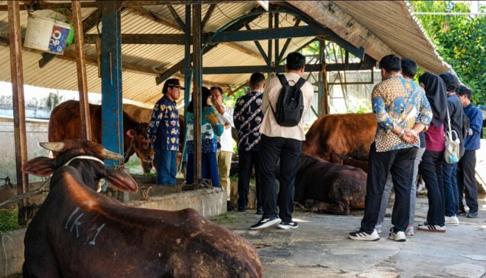SPPG Jadi Peluang Emas, Perumda Tunas Dibidik Jadi Pemasok Utama Daging