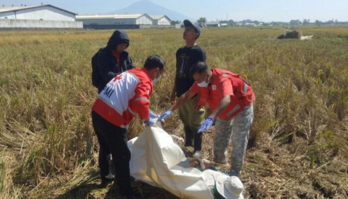 Warga Kendalpayak Ditemukan Tak Bernyawa Saat Garap Sawah