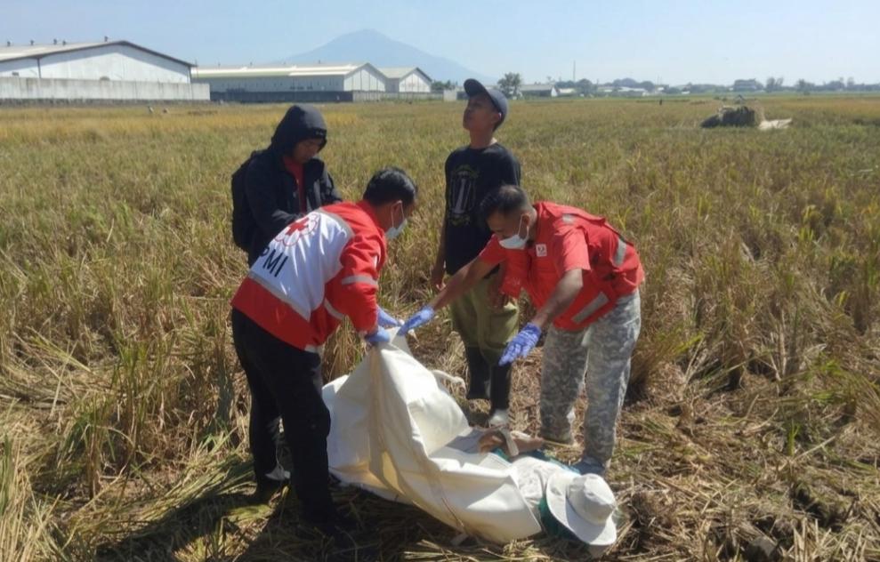 Warga Kendalpayak Ditemukan Tak Bernyawa Saat Garap Sawah