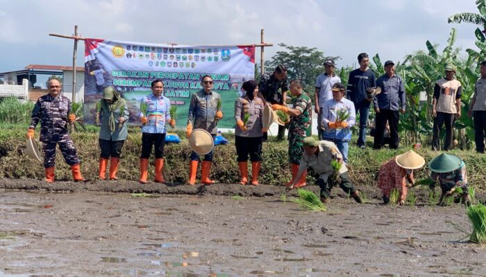 Antisipasi El Nino, Pemkot Malang Tancap Gas Percepat Tanam Padi