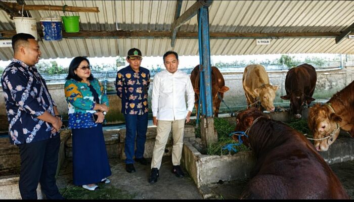 Kursi Direksi Kosong Bertahun-tahun, Wawali Malang Siapkan Perombakan Total Perumda Tunas