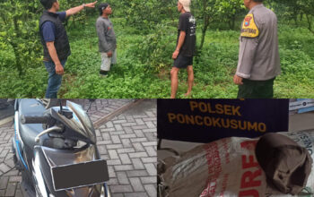 Aksi pencurian jeruk yang meresahkan petani di Kecamatan Poncokusumo, Kabupaten Malang, akhirnya berhasil diungkap aparat Kepolisian Resor Malang, Polda Jawa Timur, setelah menerima laporan dari masyarakat setempat.