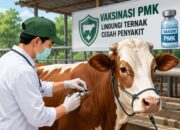 Menjelang Iduladha, Ancaman PMK di Kabupaten Malang Masih Mengintai