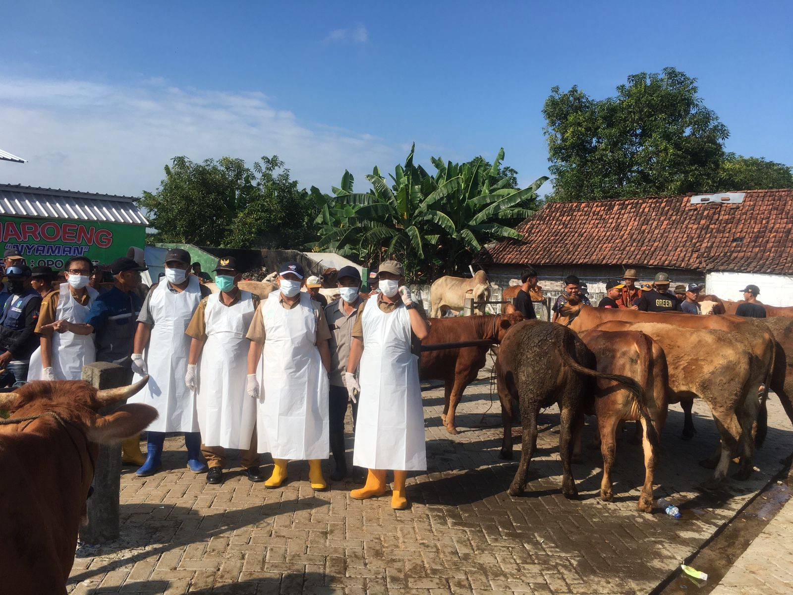 Jombang Terima 43 Ribu Dosis Vaksin PMK, Pengawasan Hewan Kurban Diperketat