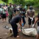 Hilang Berminggu-minggu, Lansia Asal Wajak Ditemukan Meninggal di Aliran Sungai