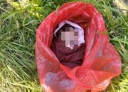 Bayi Dalam Kantong Plastik Gegerkan Karangploso, Polisi Selidiki Pelaku Pembuangan