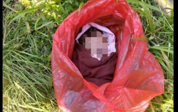 Bayi Dalam Kantong Plastik Gegerkan Karangploso, Polisi Selidiki Pelaku Pembuangan