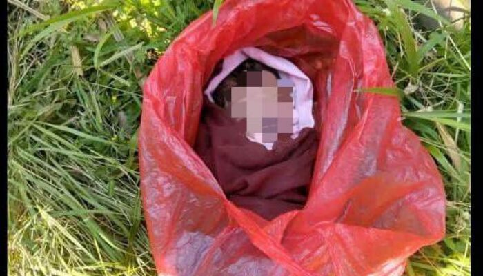 Bayi Dalam Kantong Plastik Gegerkan Karangploso, Polisi Selidiki Pelaku Pembuangan