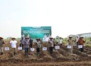 Pemerintah Kabupaten Jombang, Jawa Timur, mendukung percepatan swasembada gula nasional melalui program tanam perdana tebu tahun 2026.