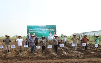Pemerintah Kabupaten Jombang, Jawa Timur, mendukung percepatan swasembada gula nasional melalui program tanam perdana tebu tahun 2026.
