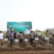 Jombang Jadi Lumbung Tebu Jatim, Produksi Capai 787 Ribu Ton