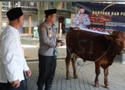 Kapolres Jombang Serahkan Sapi Kurban ke Ponpes Tebuireng Jelang Iduladha 2026