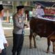 Kapolres Jombang Serahkan Sapi Kurban ke Ponpes Tebuireng Jelang Iduladha 2026