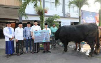 Sinchan Farm Kembali Pasok Sapi Kurban Presiden, Tahun Ini Blackjack Masuk Kota Malang