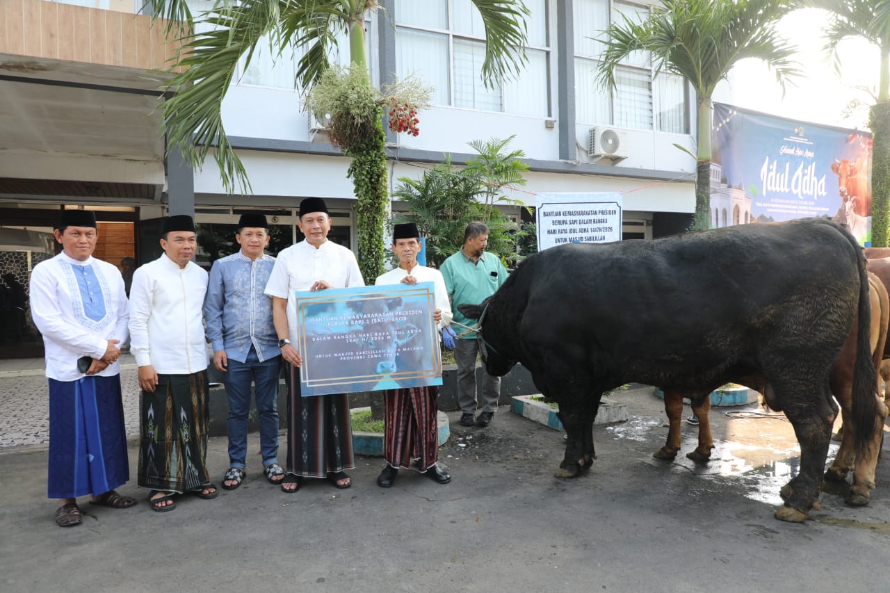 Sinchan Farm Kembali Pasok Sapi Kurban Presiden, Tahun Ini Blackjack Masuk Kota Malang