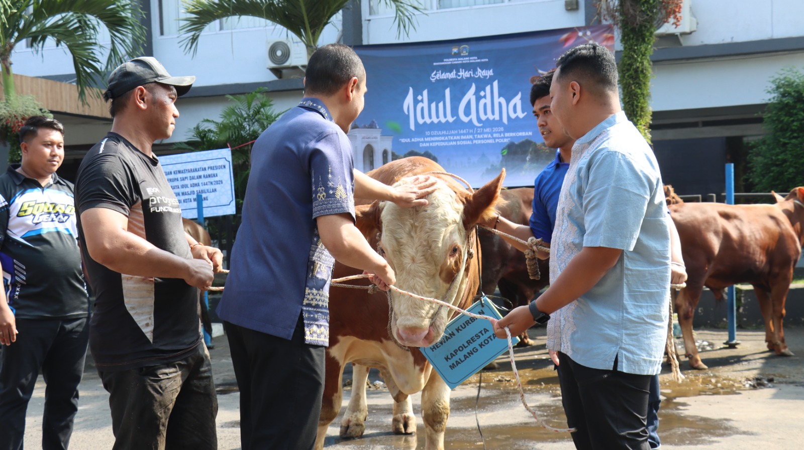 Polresta Malang Kota Siapkan 12 Sapi dan 24 Kambing Kurban untuk Warga di Iduladha 1447 H