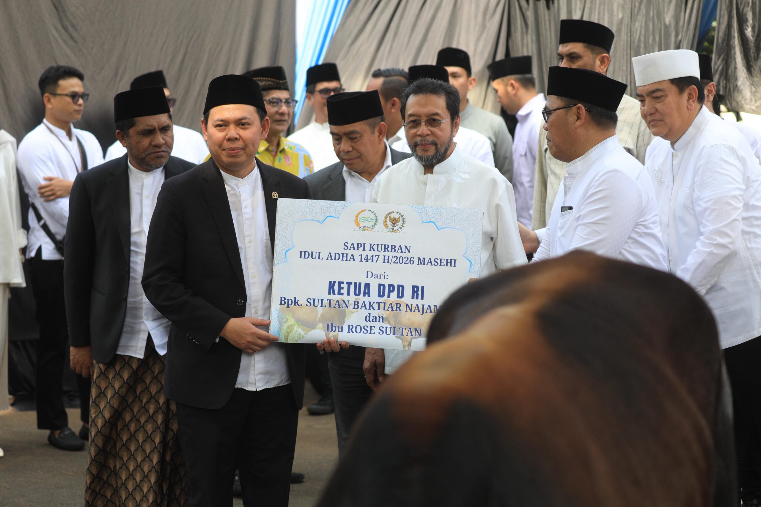DPD RI Salurkan 12 Ekor Sapi kepada Masyarakat pada Momentum Iduladha 1447 H