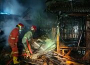 Kebakaran Kandang Ayam di Desa Grobogan Jombang, Tidak Ada Korban Jiwa