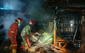 Kebakaran Kandang Ayam di Desa Grobogan Jombang, Tidak Ada Korban Jiwa
