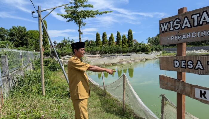Budidaya Gurame BUMDes Tirtowangi Tembus Pasar Luar Pulau, Desa Tegalwangi Bidik Pasar Nasional