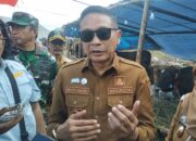 Jabatan Kosong di Pemkot Malang Kian Mengkhawatirkan, Sekolah hingga OPD Strategis Masih Dipimpin Plt