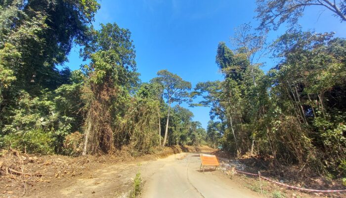 Sahabat Alam Indonesia Soroti Ancaman Krisis Iklim dan Hilangnya Keanekaragaman Hayati di Malang Raya