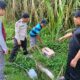 Bayi Perempuan Dibuang dalam Kardus di Kebun Tebu Gondanglegi, Kini Polisi Buru Pelaku