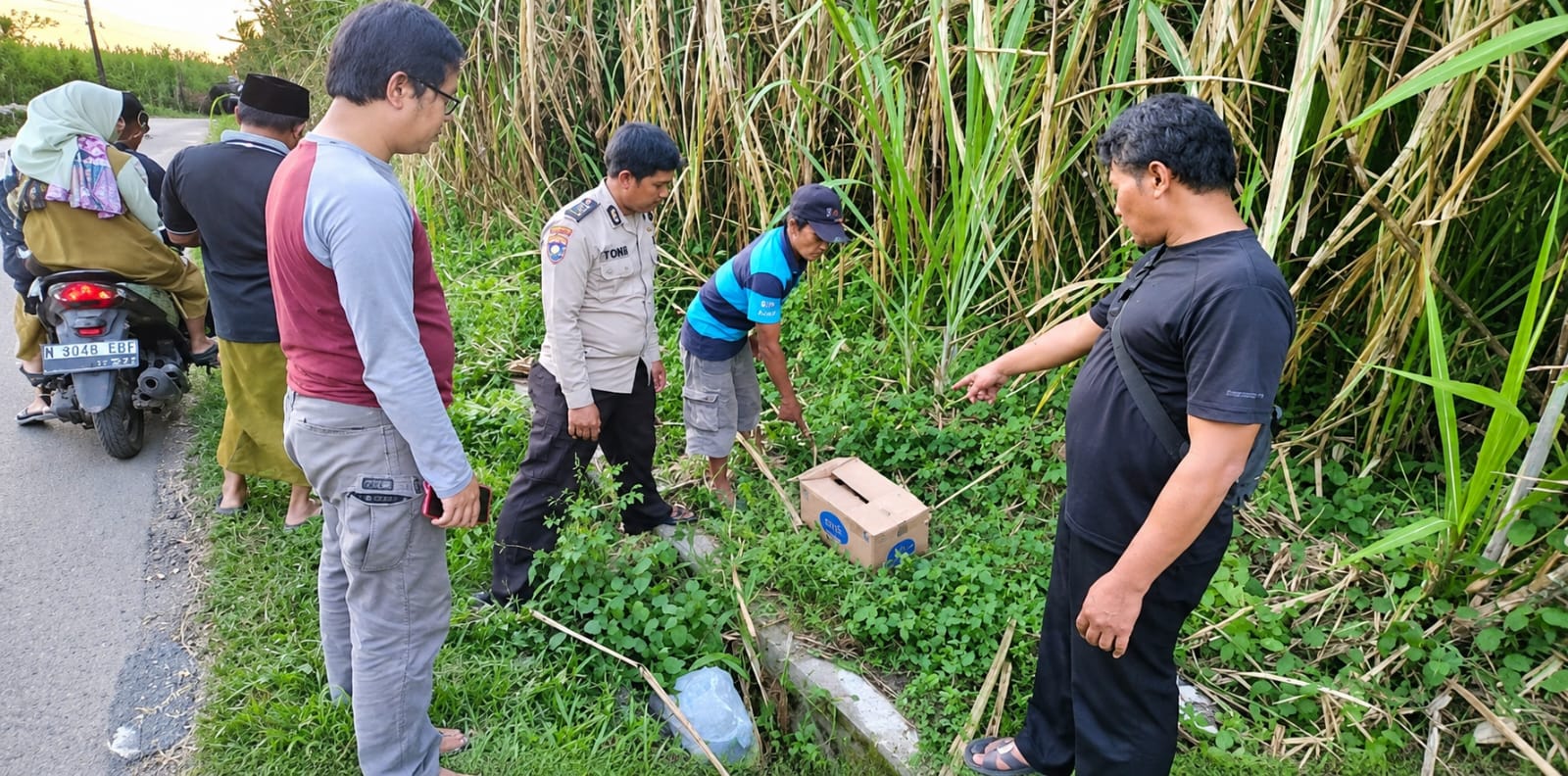 Bayi Perempuan Dibuang dalam Kardus di Kebun Tebu Gondanglegi, Kini Polisi Buru Pelaku