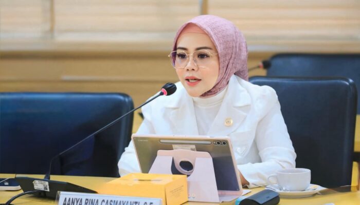 Dukung PSN Prabowo, Senator Jabar Aanya Rina Minta Exit Tol Banjar Tak Dilupakan