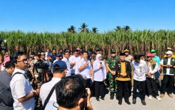 Panen Tebu Bersama Gubernur Jatim, Sanusi Dorong Reformasi Budidaya untuk Percepat Swasembada Gula