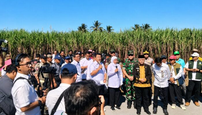 Panen Tebu Bersama Gubernur Jatim, Sanusi Dorong Reformasi Budidaya untuk Percepat Swasembada Gula