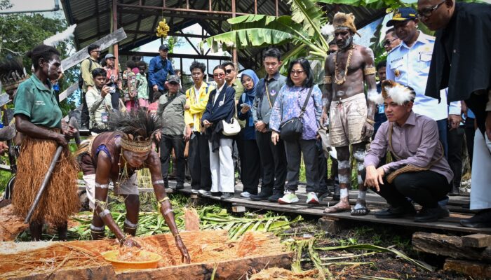 Dukung Hilirisasi Komoditas Unggulan Papua, Wapres Tinjau Sekolah Lapang Sagu Asmat