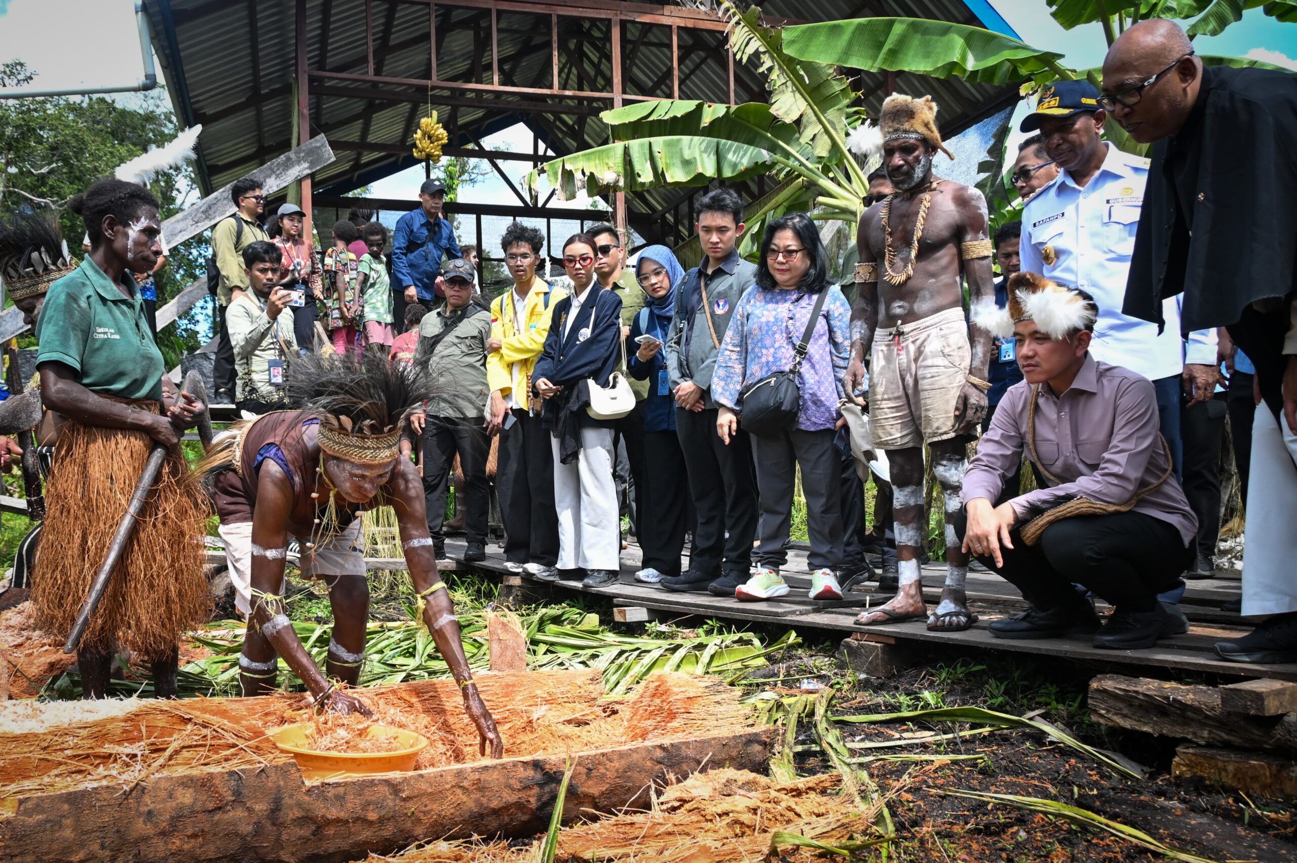 Dukung Hilirisasi Komoditas Unggulan Papua, Wapres Tinjau Sekolah Lapang Sagu Asmat