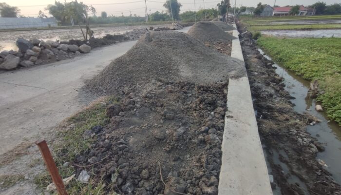 Warga Soroti Proyek TPJ di Peterongan Jombang, Material Urug Diduga dari Tanah Galian
