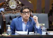 Baleg DPR Kebut Revisi UU Kehutanan, Soroti Ringannya Hukuman Perusak Hutan