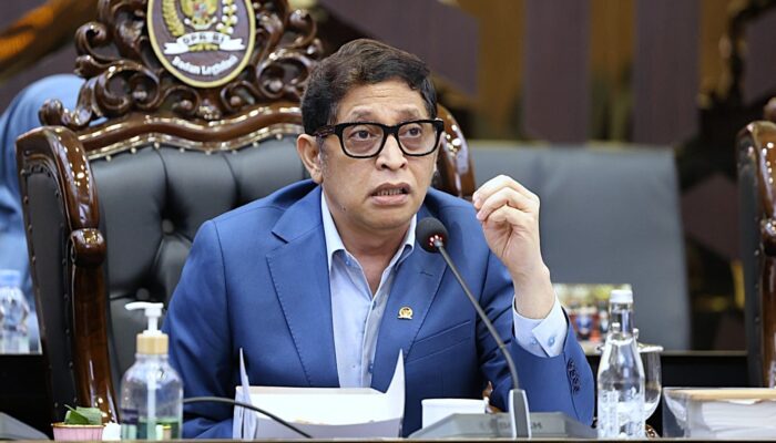 Baleg DPR Kebut Revisi UU Kehutanan, Soroti Ringannya Hukuman Perusak Hutan