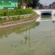 Bau Limbah Tahu Jogoroto Ganggu Warga Peterongan Jombang, DPRD Minta Penanganan Cepat