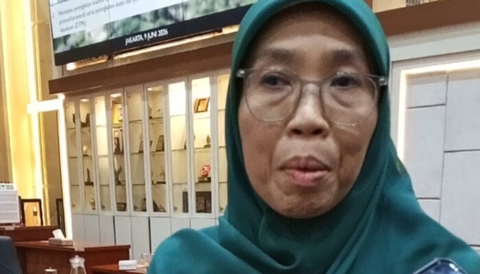Netty Aher Kawal Ketahanan BPJS Kesehatan, Pastikan Tak Ada Peserta JKN yang Tertinggal